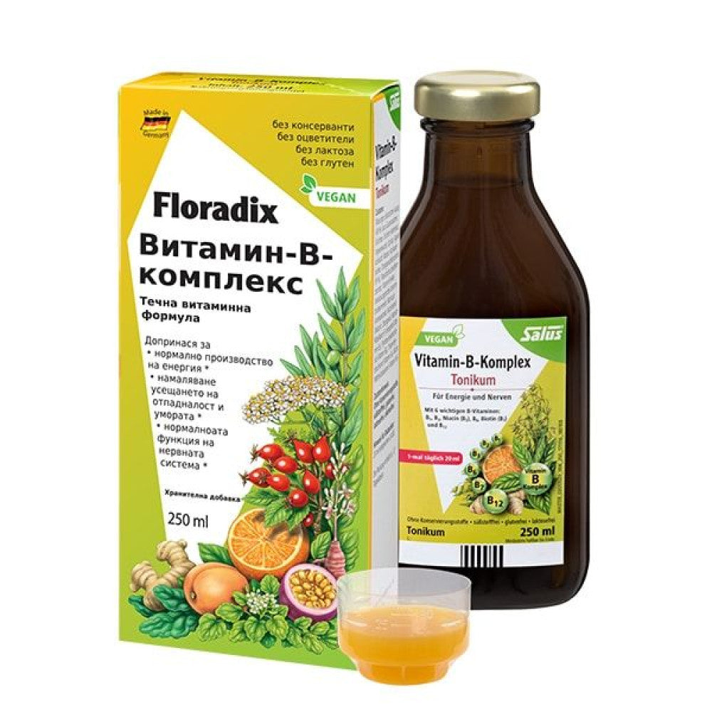 Floradix Vitamin B Complex Liquid Vitamin Formula - 250ml — product packaging