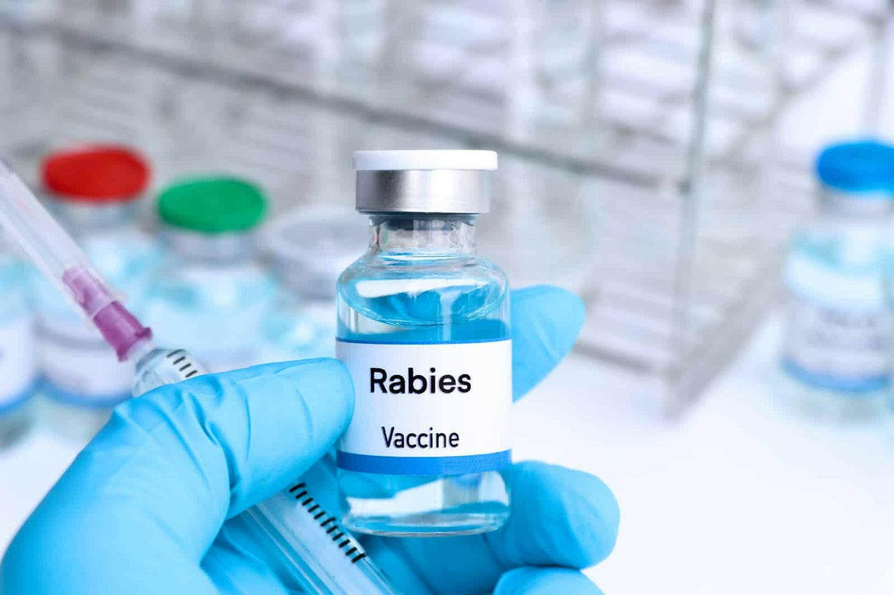 Rabies vaccination-Verorab (Pre-exposure Only)
