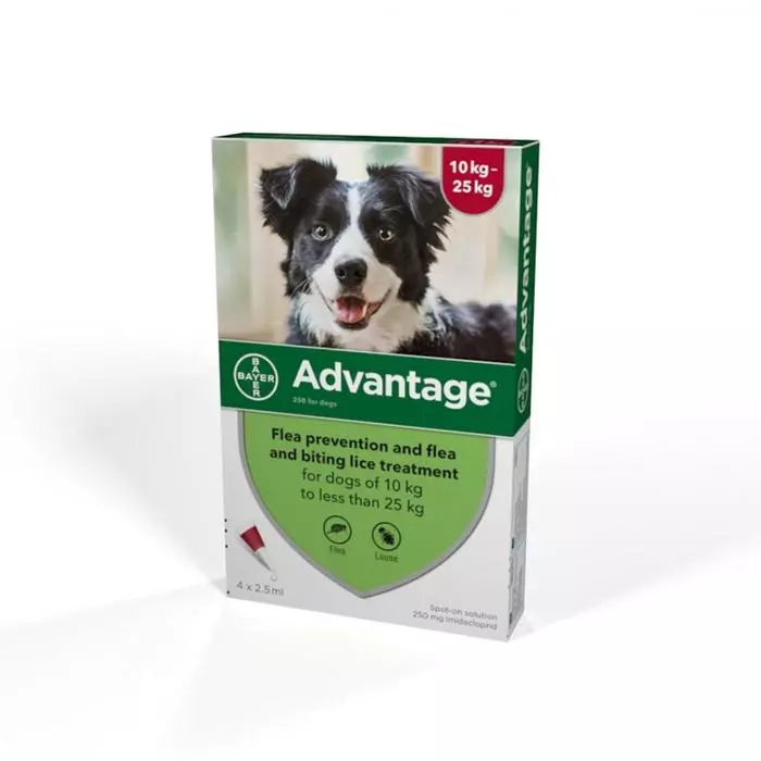 Advantage deworming is suitable for pet dogs 10-25 kg